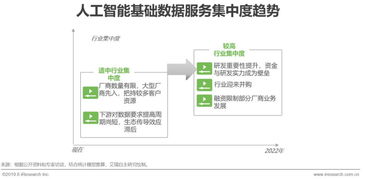 2019年中國(guó)人工智能基礎(chǔ)數(shù)據(jù)服務(wù)與行業(yè)應(yīng)用系統(tǒng)集成服務(wù)白皮書